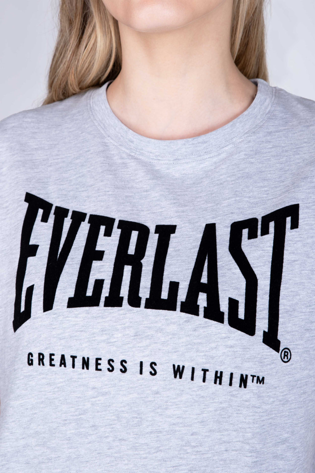 Polera Manga Corta Genius Gris Everlast