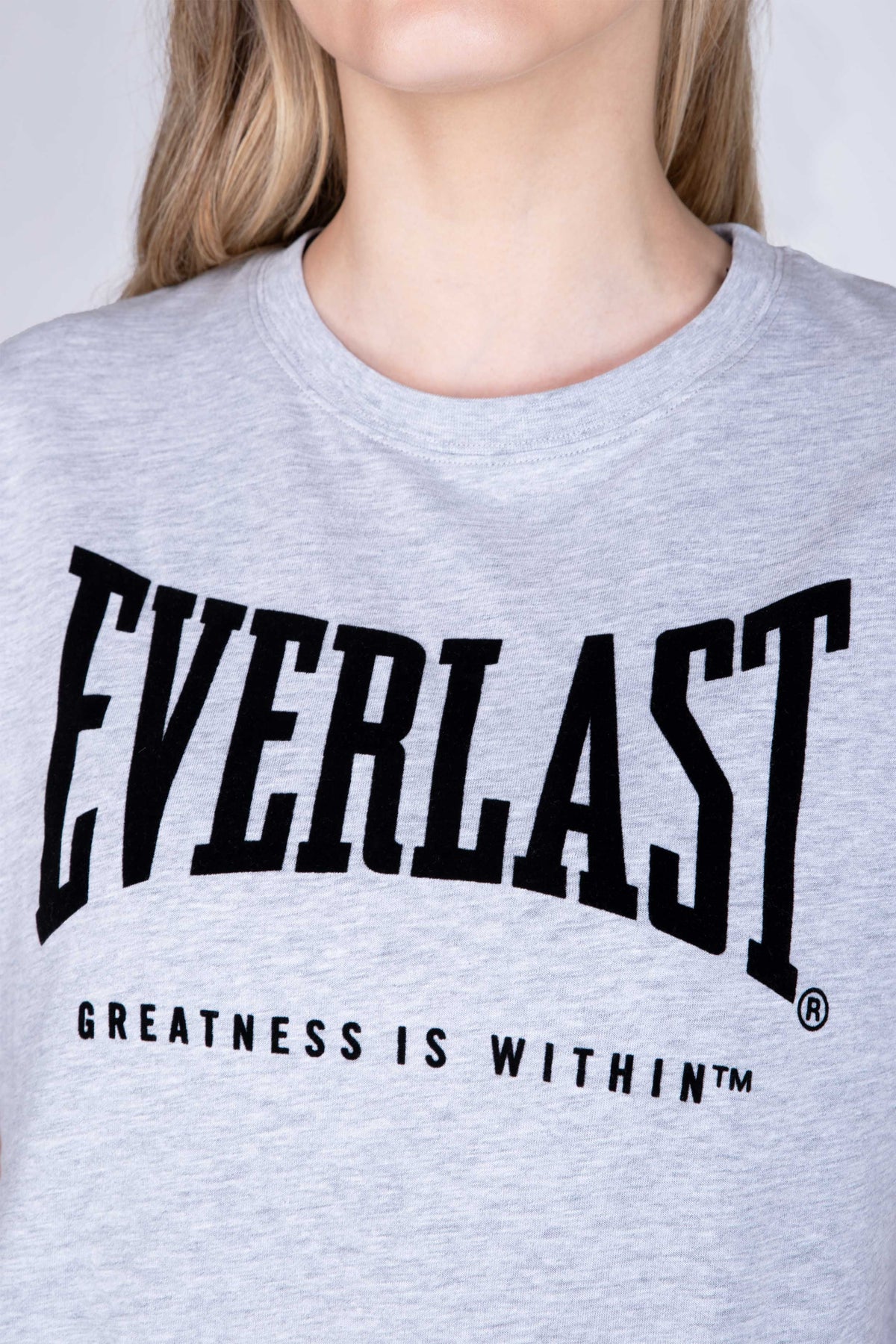 Polera Manga Corta Genius Gris Everlast